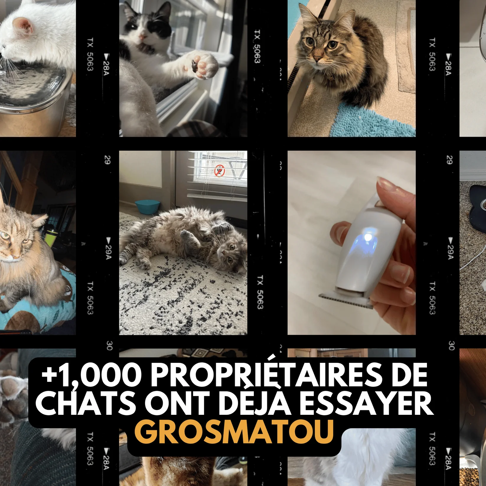 Tondeuse Silencieuse Anti-Nœuds — Pour Chat Poils Longs & Courts
