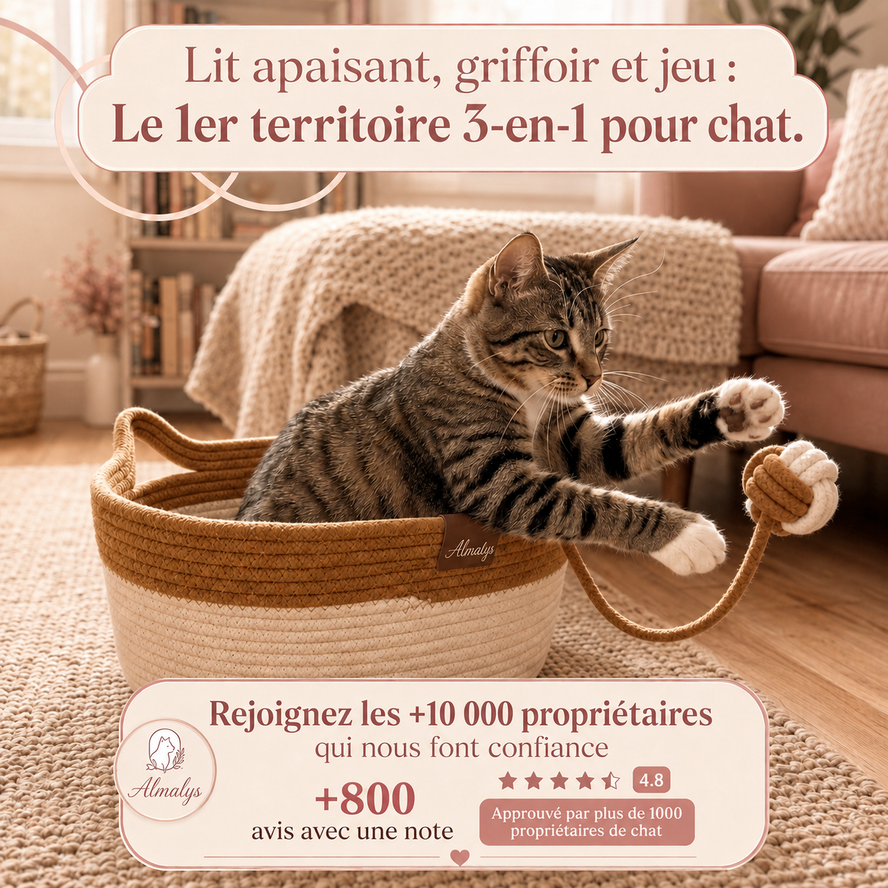 Le Nid du Matou — Lit Apaisant & Griffoir Naturel