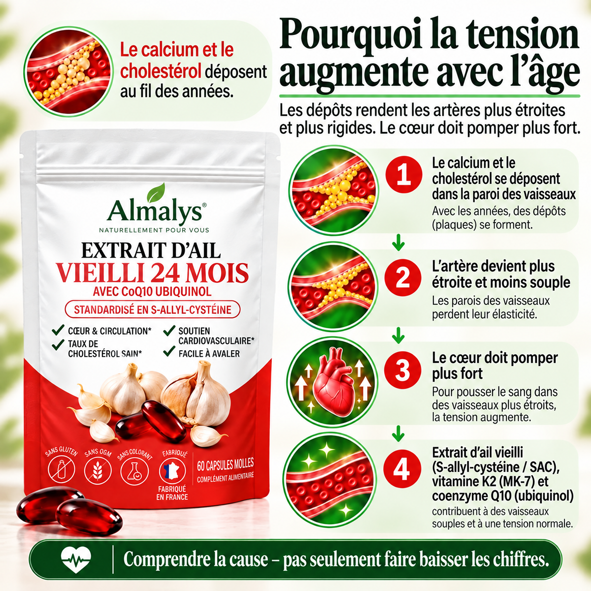 Vusilia Knovita – Extrait d'ail maturé 24 mois avec CoQ10 et vitamine K2